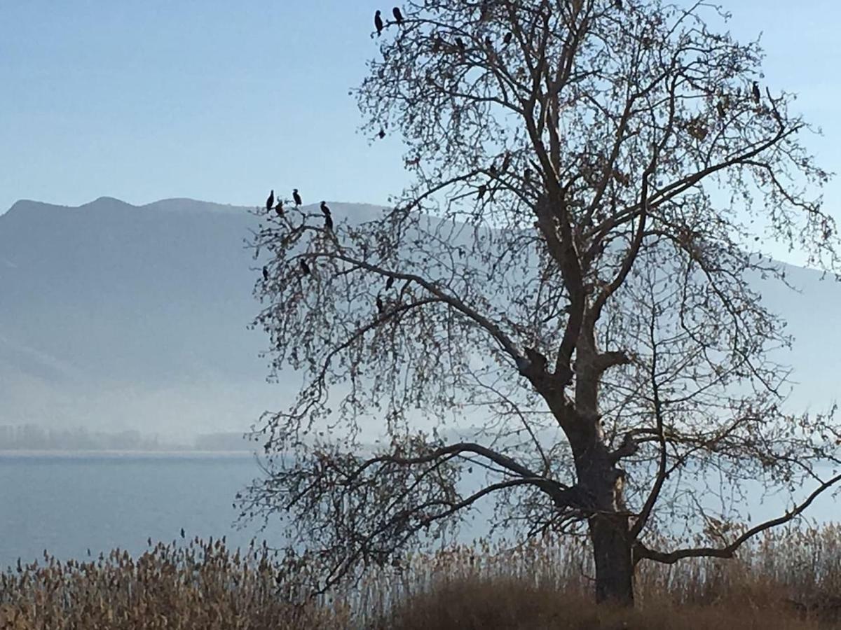 The Little Stone House By The Lake Kastoria Buitenkant foto